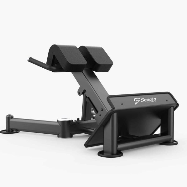 Back Extension Bench