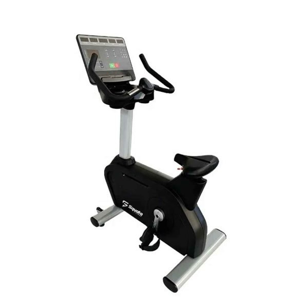 Commercial Upright Bike