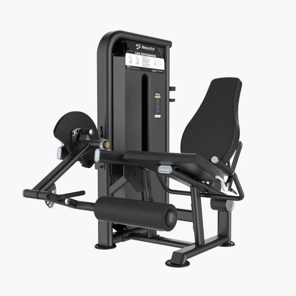 Leg Extension