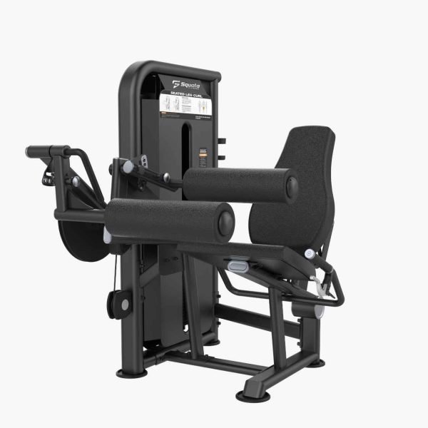 Seated Leg Curl
