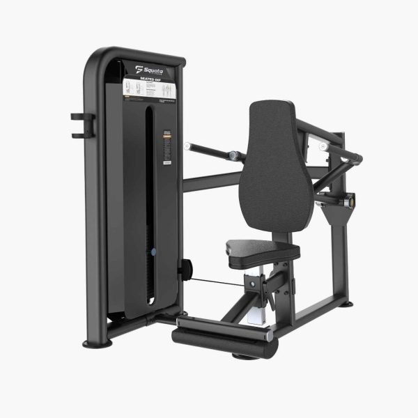 Seated Triceps Dip